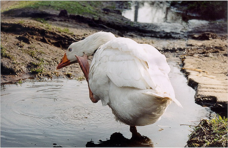 надо подумать...:)