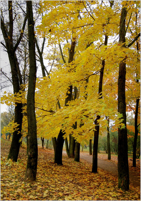 В Минске октябрь... #3