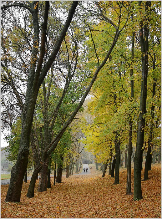 В Минске октябрь... #4