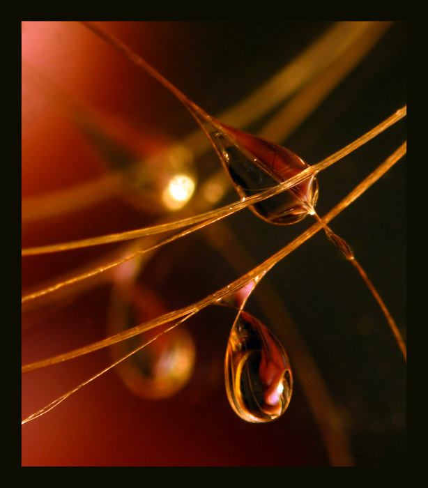 Заглянуть в осень