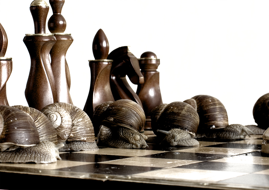 медленные пешки