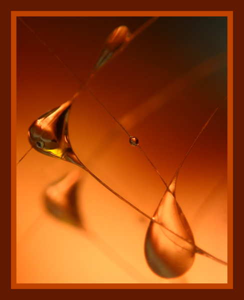 Равновесие