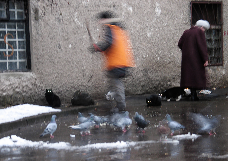 утренняя кормежка