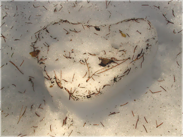 теплое признание