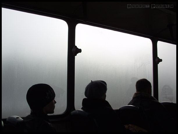 Длинная дорога домой