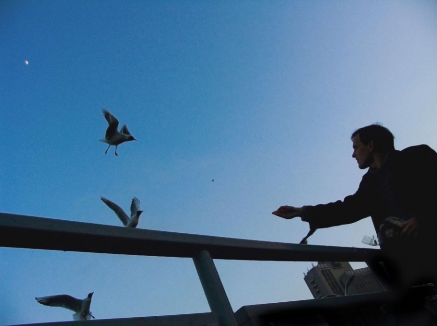 *небо,чайки,минск...*