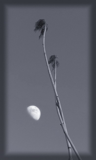 Переплетения