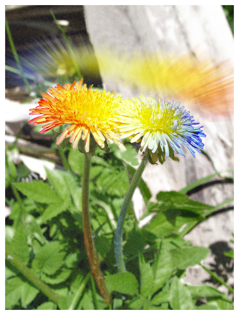 Любовь - это... (2)