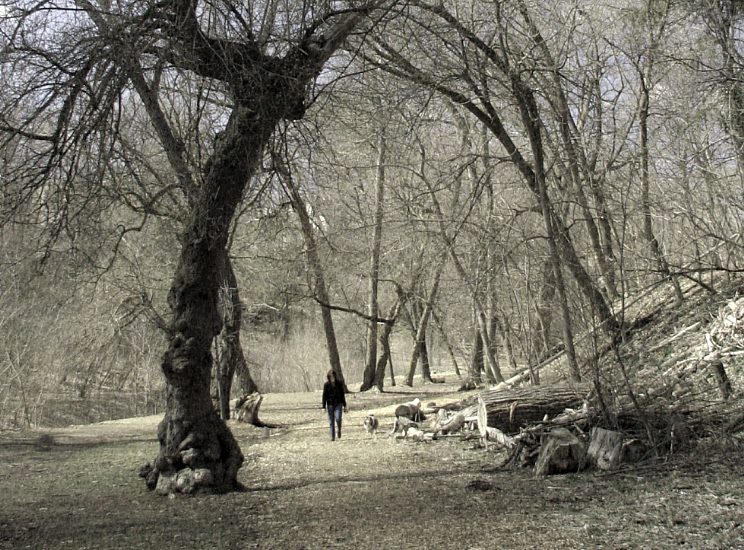 Усё наперадзе яшчэ...