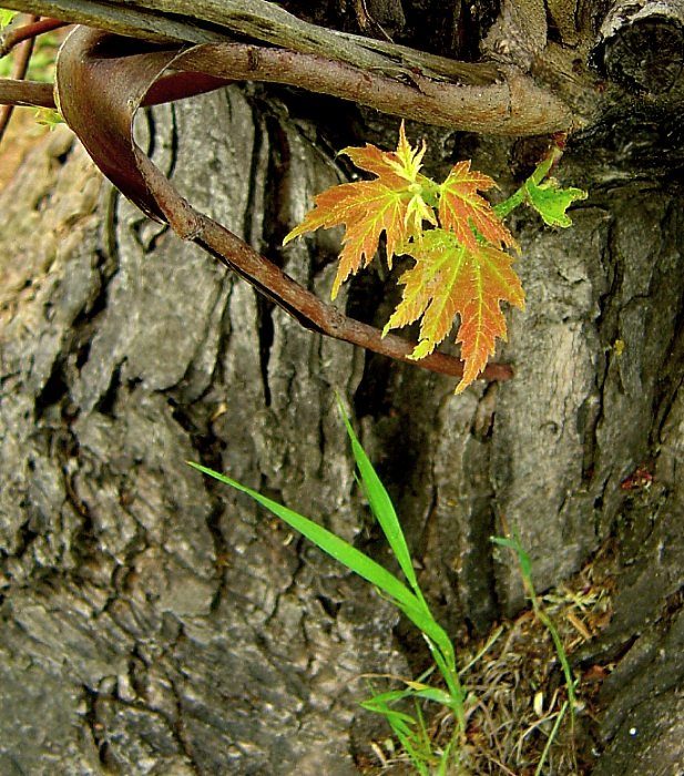 усё толькі пачынаецца...