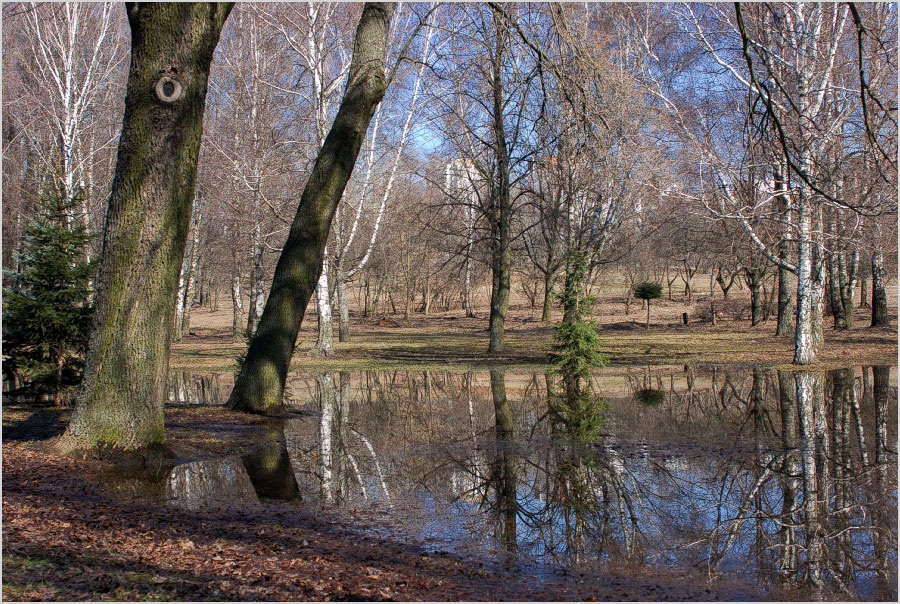 Прозрачность апреля