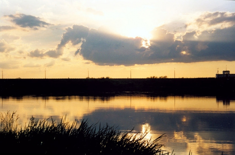И гаснет цвет, и звук немеет...