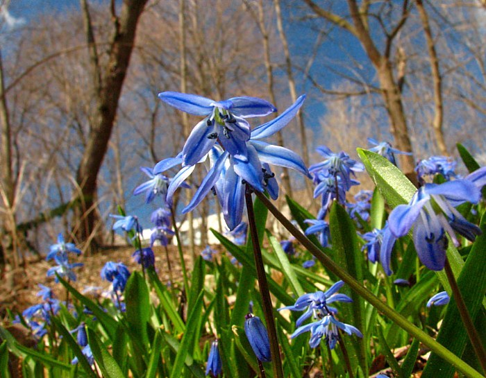 група прарыву