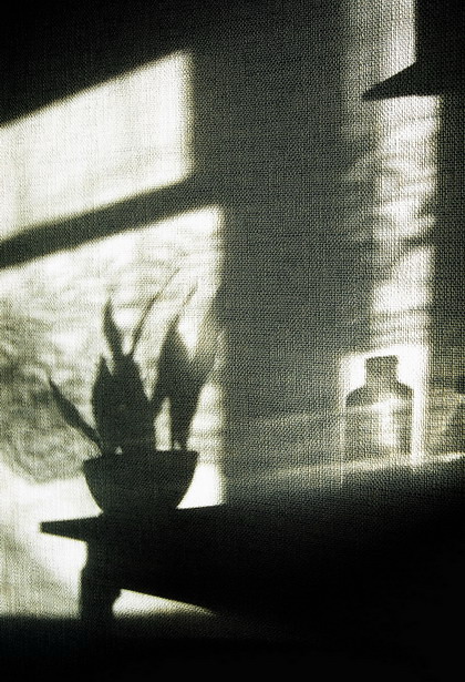 утром на кухне