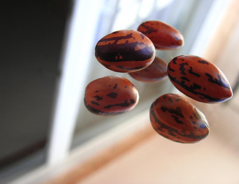 Невесомость