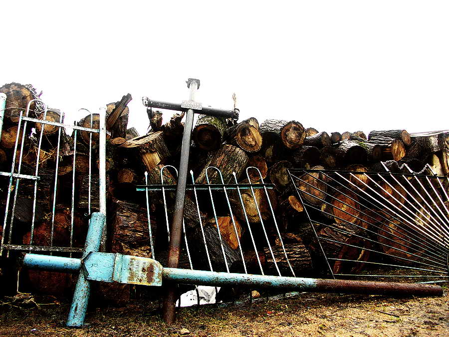 *самое тихое место в городе*