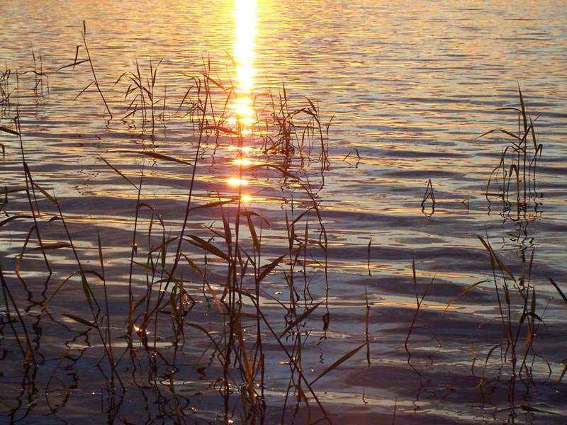 Этюд в вечерних тонах