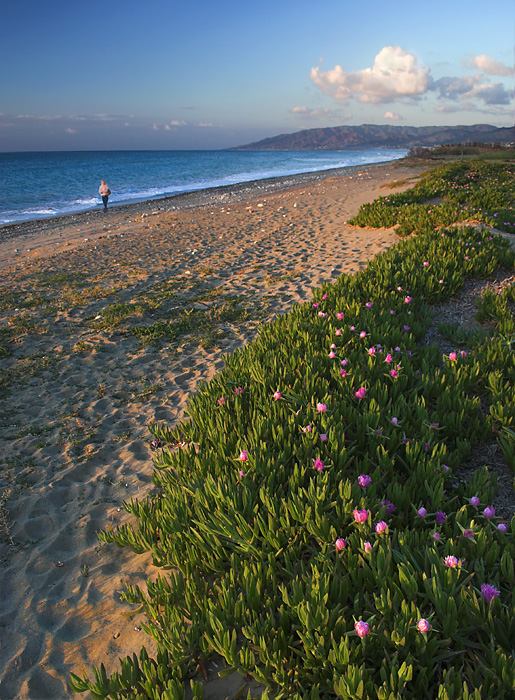 Вечерняя прогулка