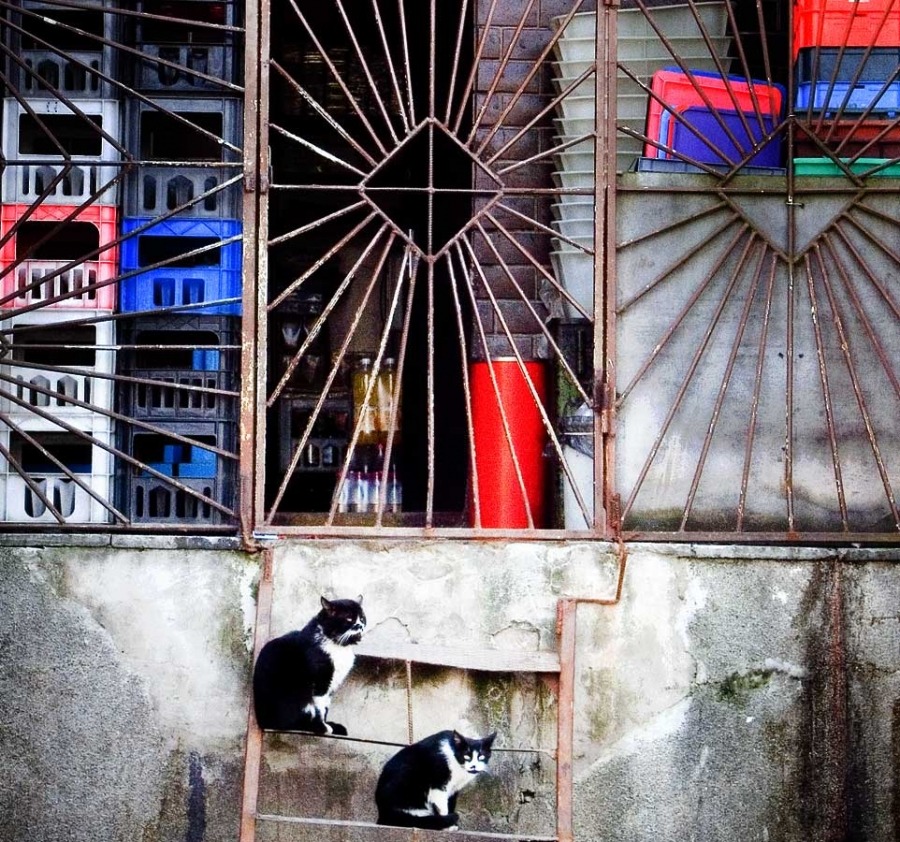 *нижний на стреме**