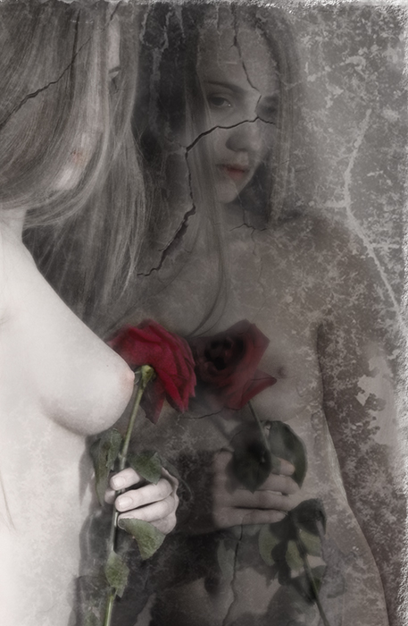 А роза упала на лапу Азора....