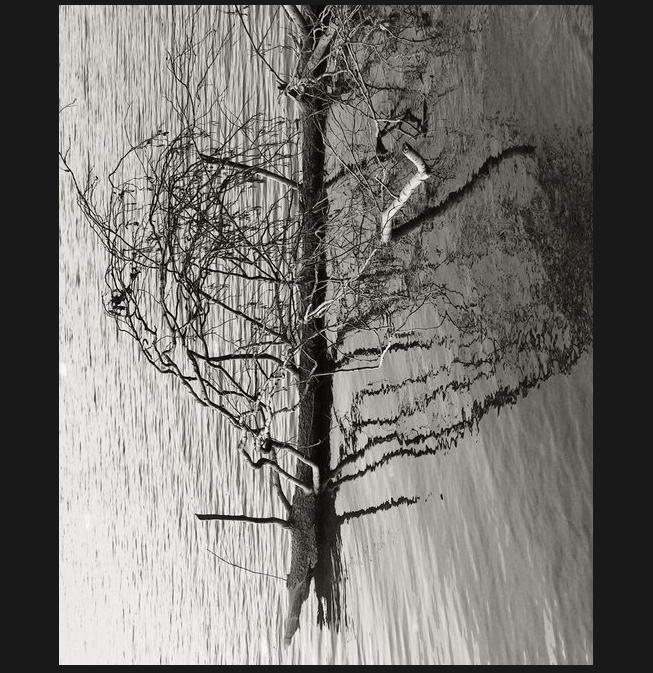 Мнимое и Действительное