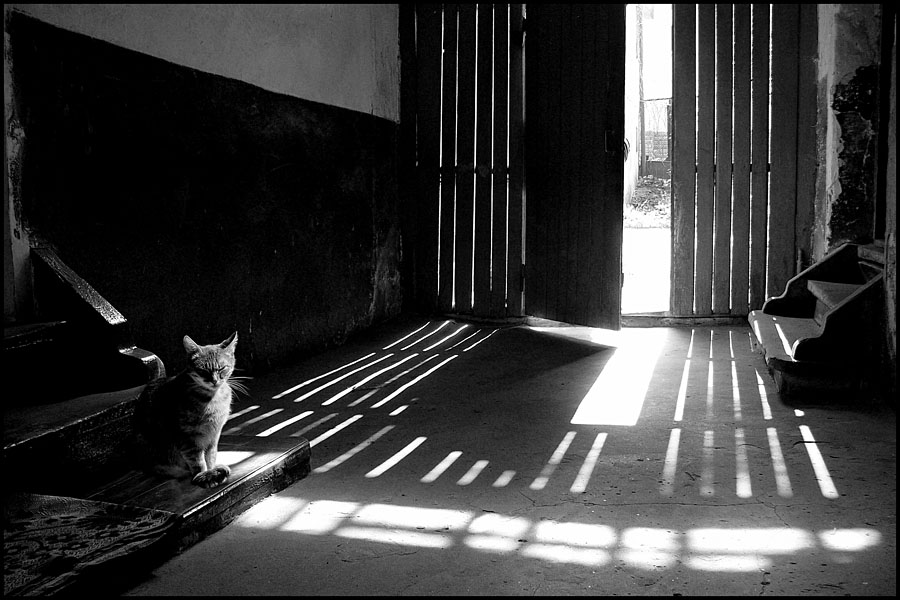 Про родное и близкое