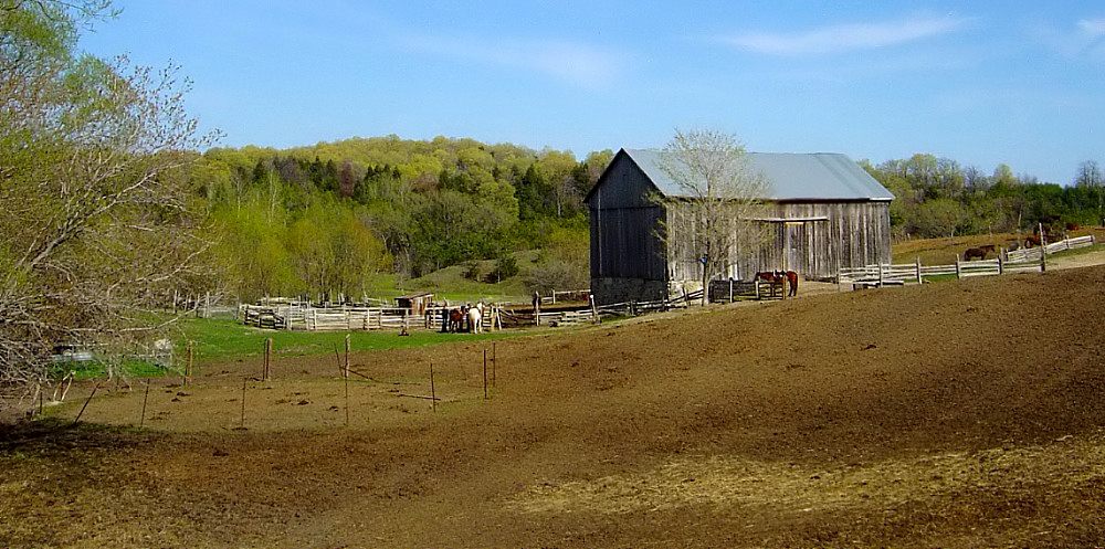 красавік: дзень апошні, выган першы