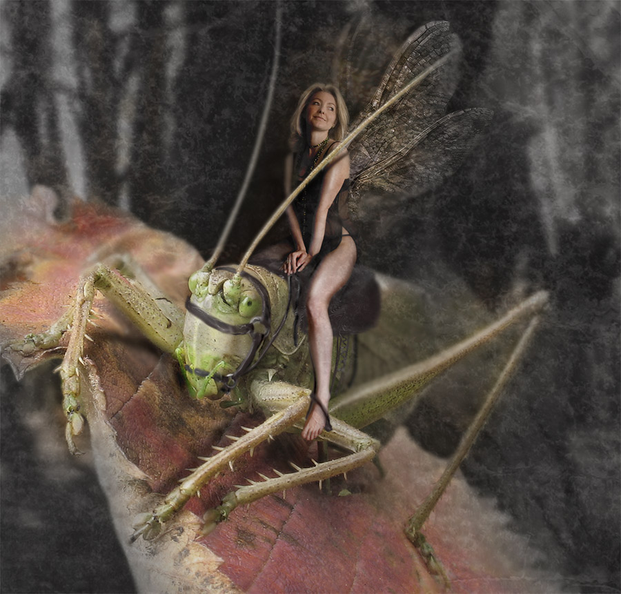 Лесная всадница.