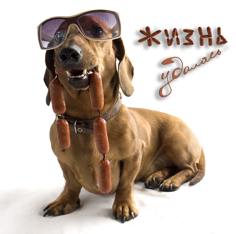 Жизнь удалась...