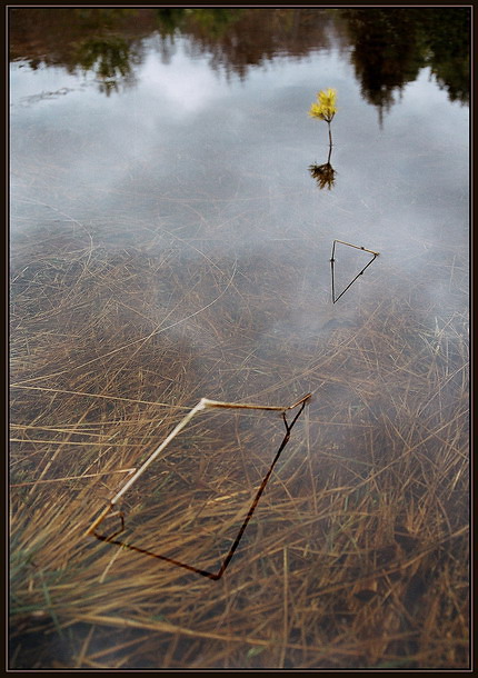 геометрия отражений