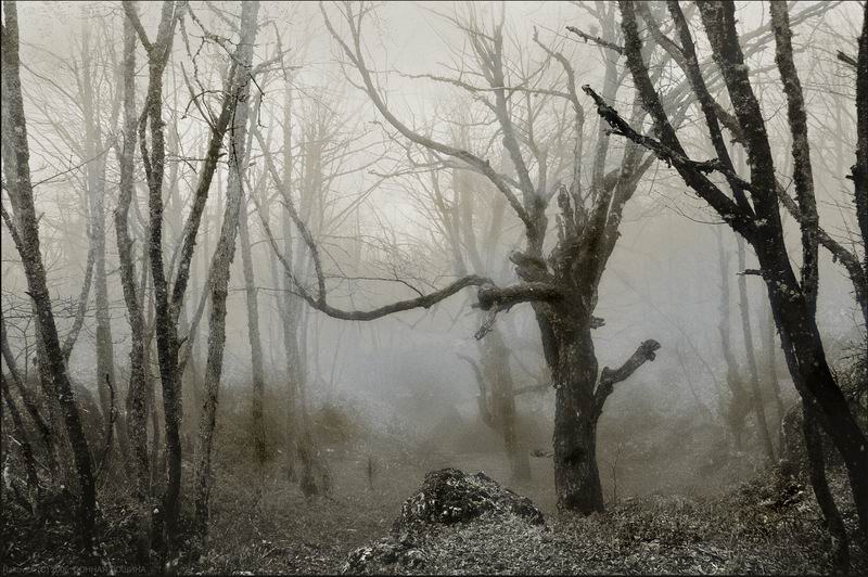 Сонная Лощина...