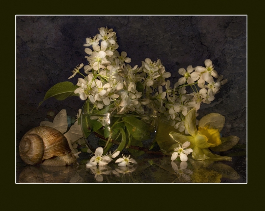 почти как Хруцкий...