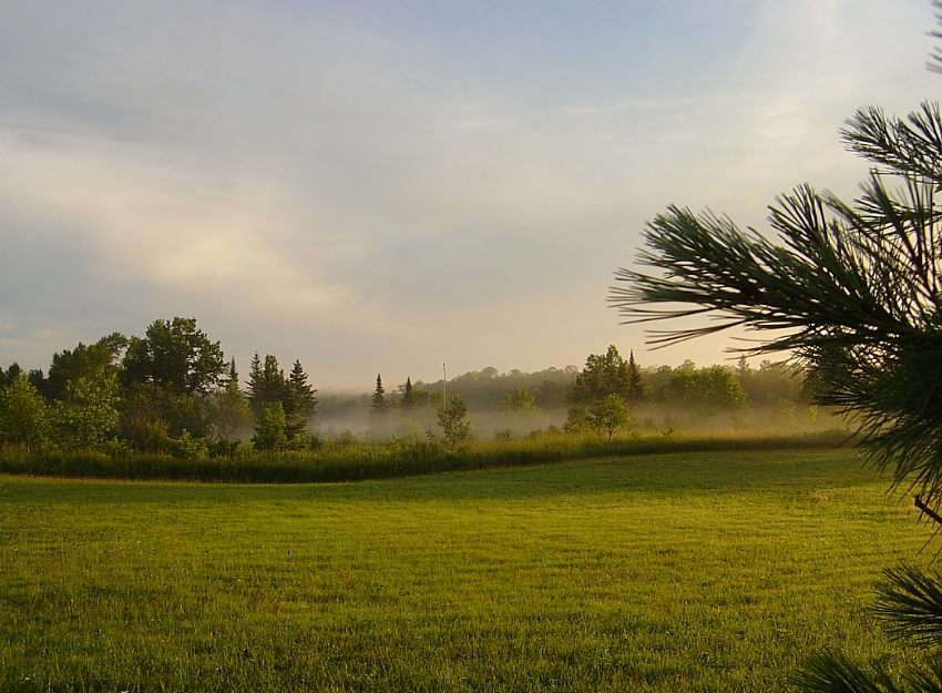 любяць тут газоны :)