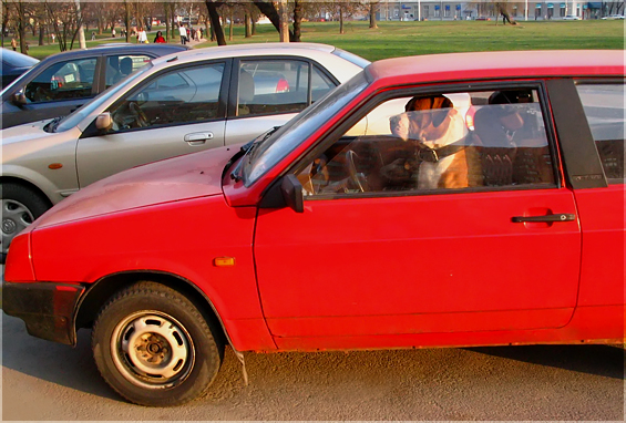 Осторожно злой водитель :)