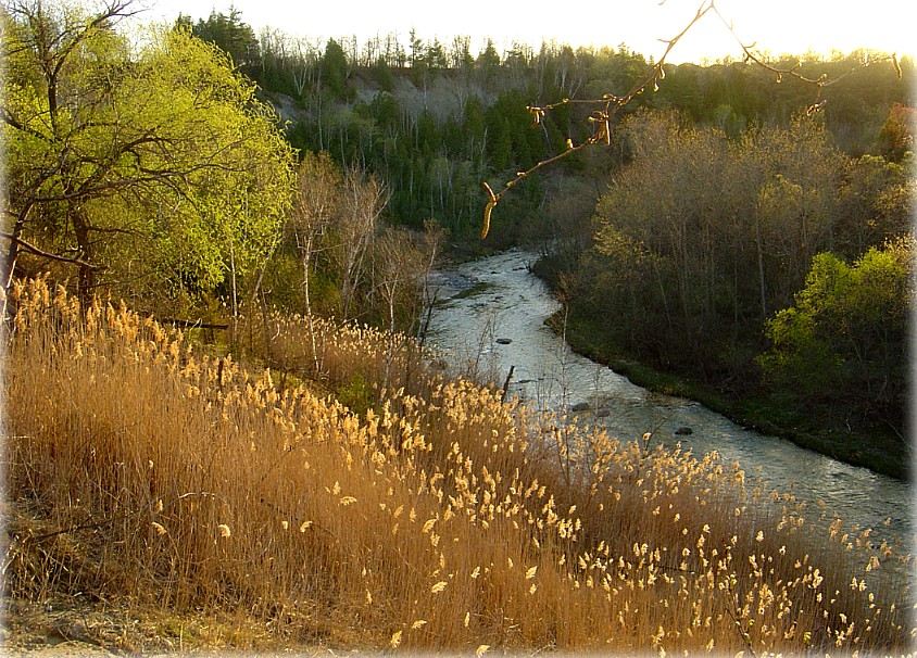 пазалота разьвітальных прамянёў