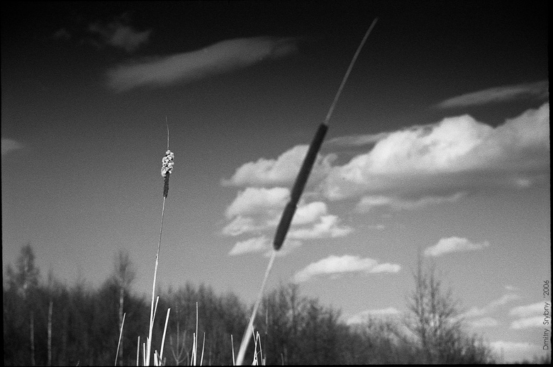 ~ лёгкость ~