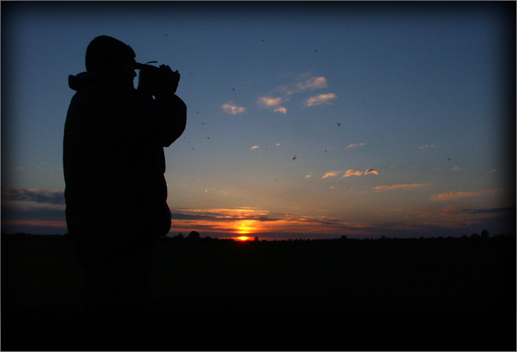 Наблюдатель