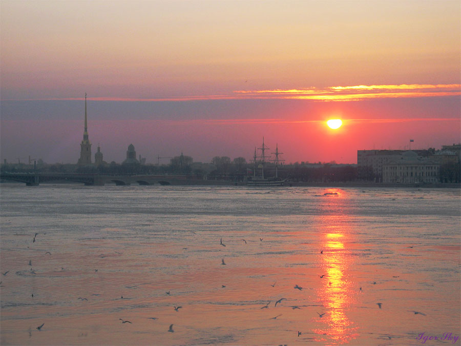 Танец чаек на закате...