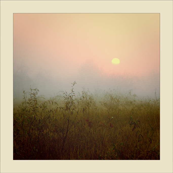 утренний сон ...