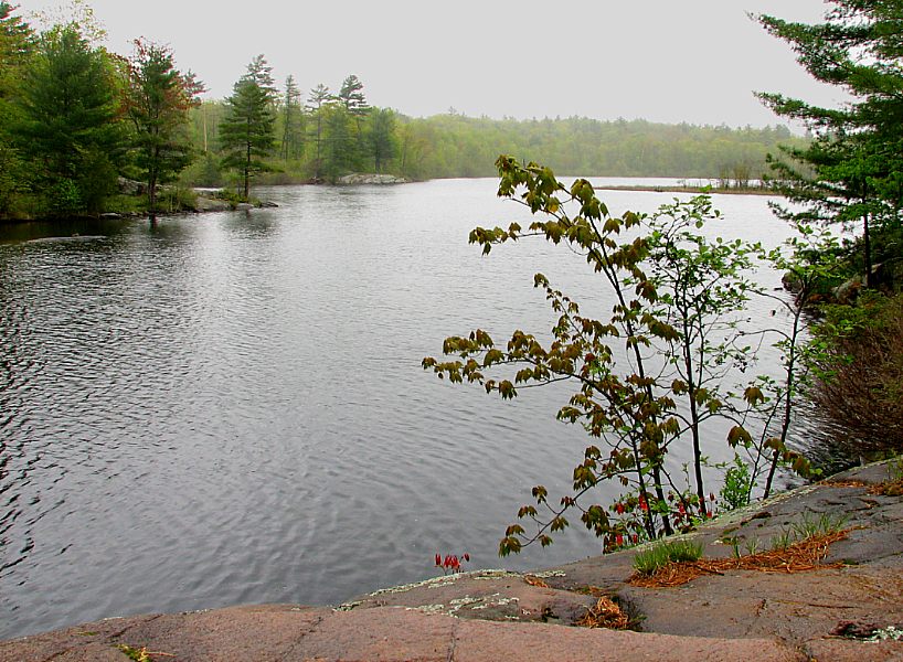 а хто б яго любіў, гэты дождж!..