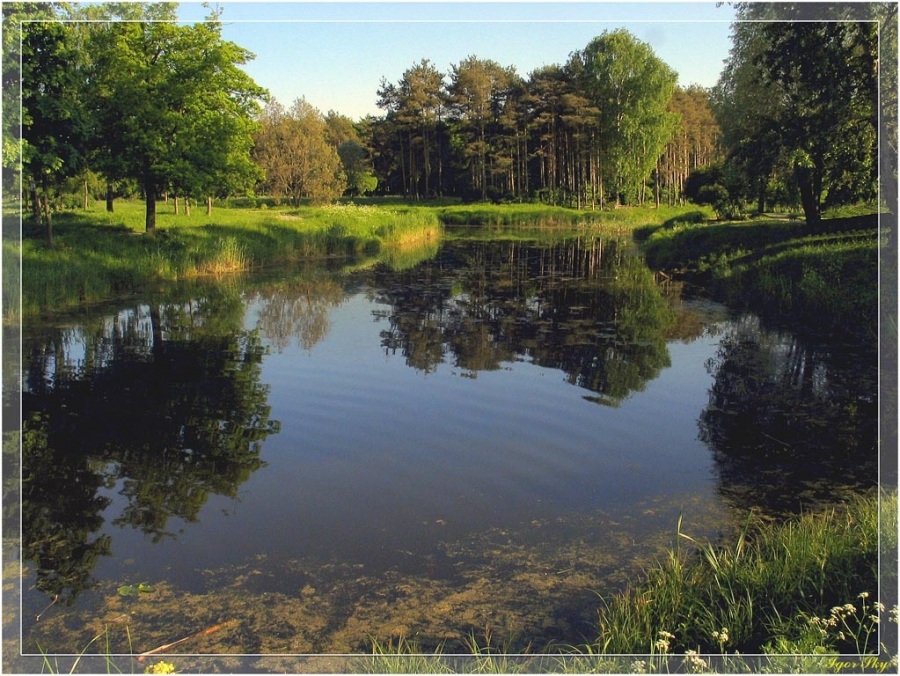 Парк Александрино.