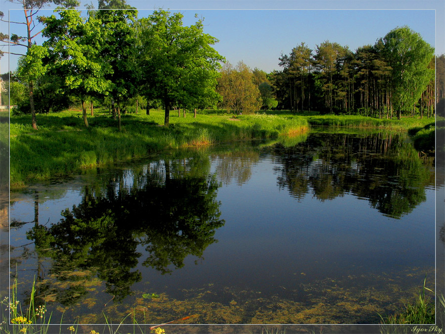 Парковый пруд.
