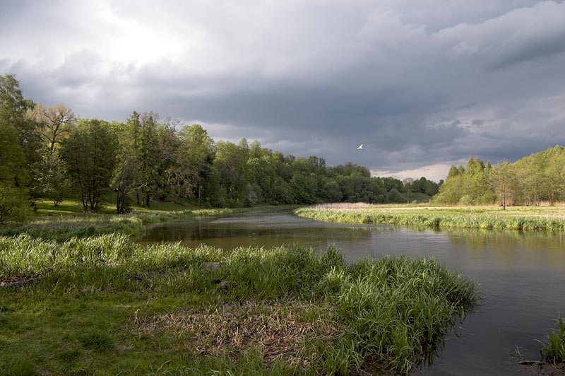 Вечерняя Лошица (цвет)