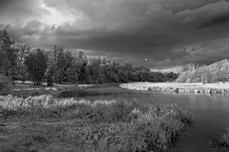 Вечерняя Лошица (ч/б)