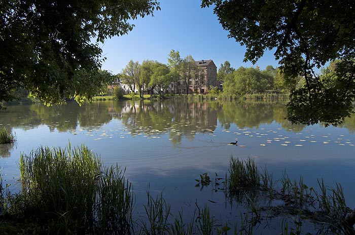 Лошица. Утро #2