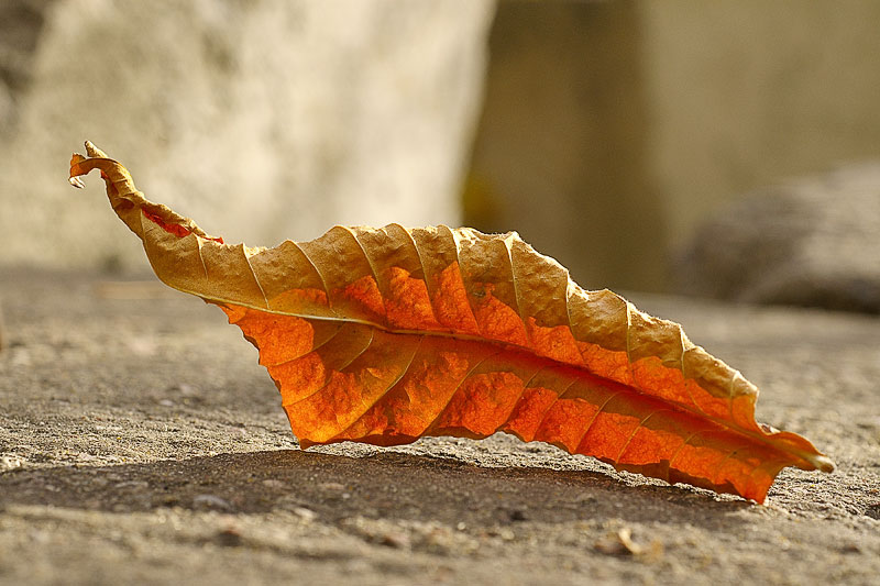 Такая, понимаешь, загогулина...