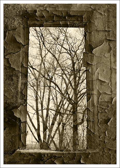 Дом-призрак #4