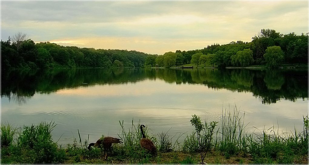 я вазёрную сінечу вуснамі лаўлю..
