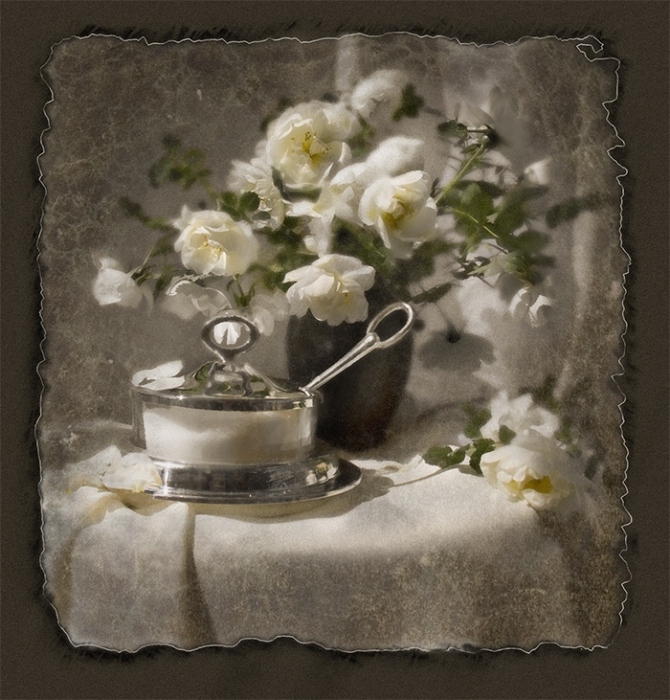 Белый шиповник страсти виновник, разум отнять готов...