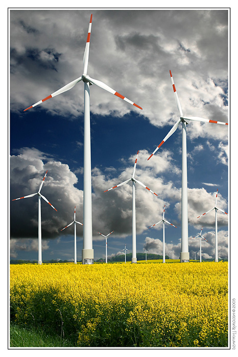 Дзесьцi ў Нямеччыне